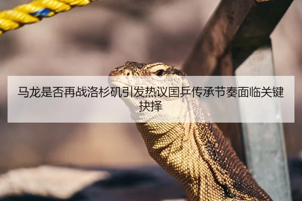 马龙是否再战洛杉矶引发热议国乒传承节奏面临关键抉择