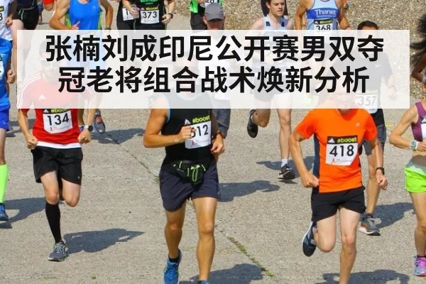 张楠刘成印尼公开赛男双夺冠老将组合战术焕新分析