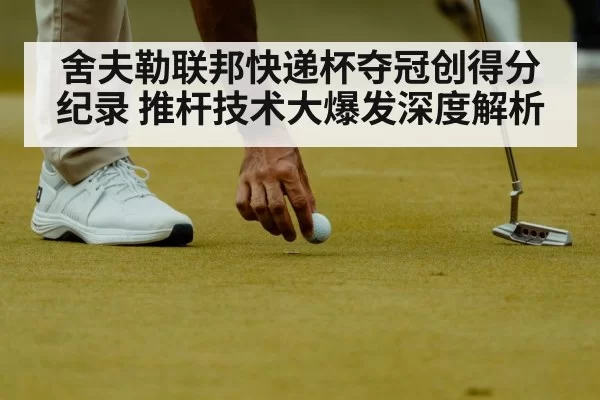 舍夫勒联邦快递杯夺冠创得分纪录 推杆技术大爆发深度解析 | pgdianzi